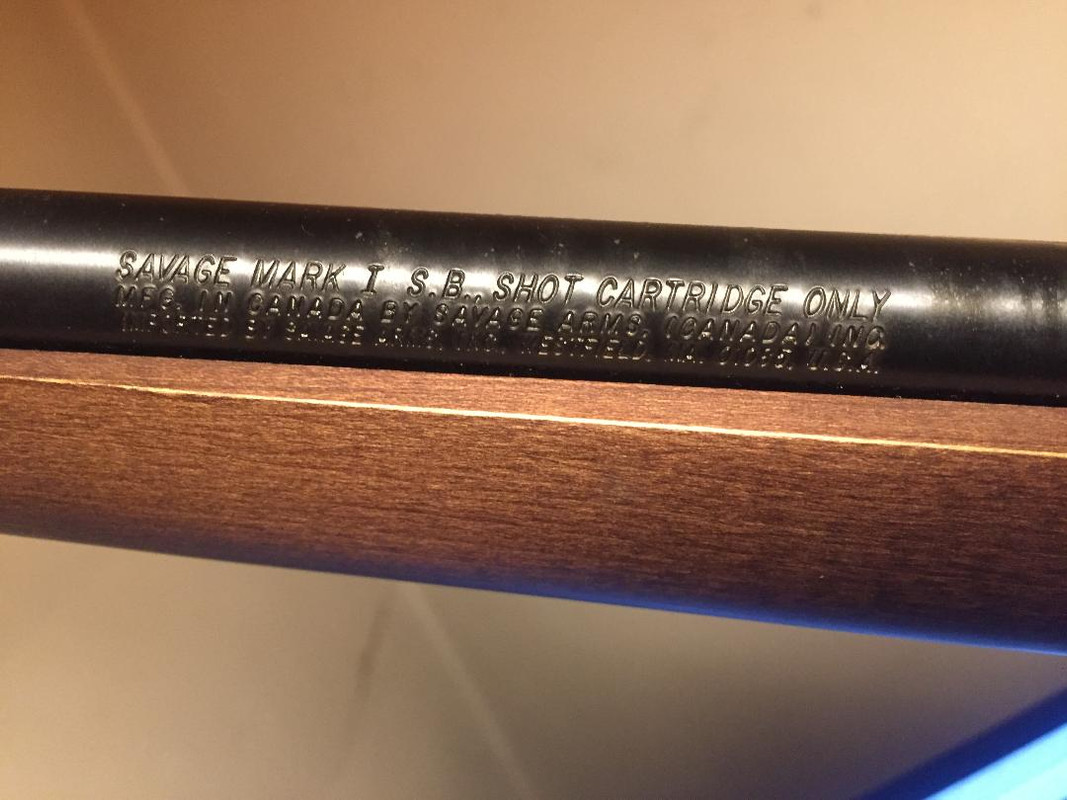 Savage smooth bore .22lr