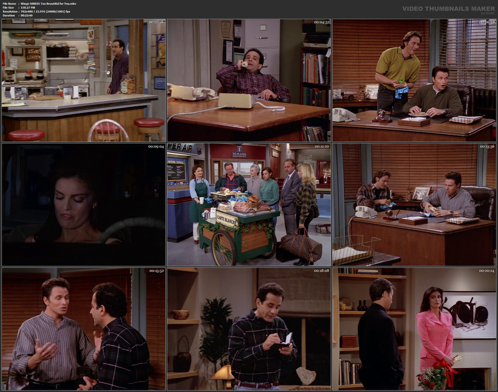 Wings S08E05 Too Beautiful for You.mkv