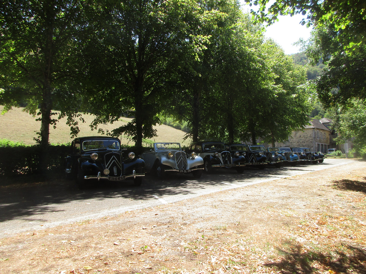 IMG 7798
