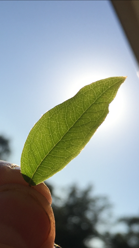 8388E3F6-AFA8-4828-A019-AD7F457F0D00