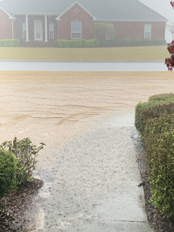 1C5B11A6-8678-4D67-A95F-24FB15E84780