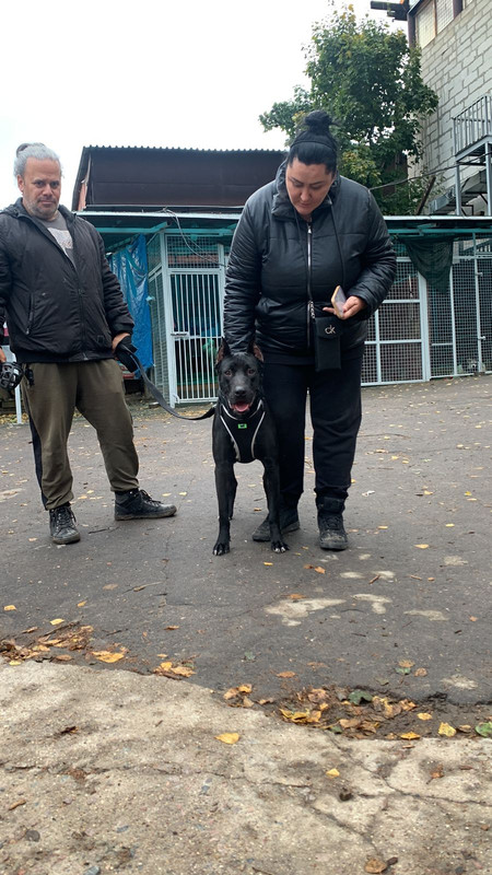 86646C75-07C0-4D2F-8FF2-008BFE686A0B