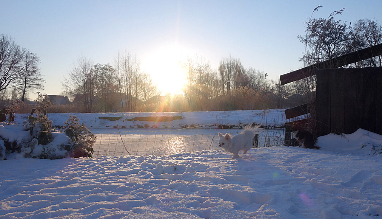 Lumii_20210211_101645151