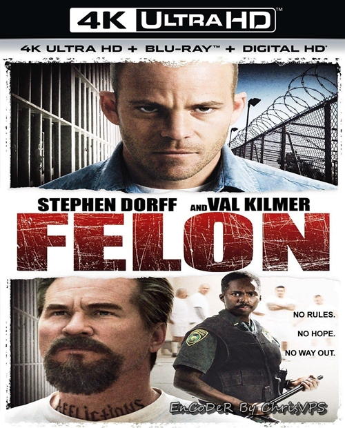Skazaniec / Felon (2008) MULTI.HDR.2160p.BDRemux.PCM.AC3-ChrisVPS / LEKTOR i NAPISY