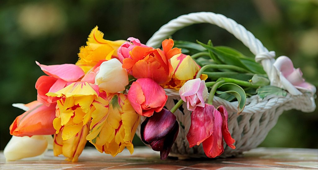 multi-flowers-still-life-3389118-1280.jpg
