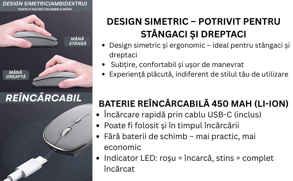 Mouse NETSTAT Prezentare 3