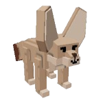 Fennec Fox