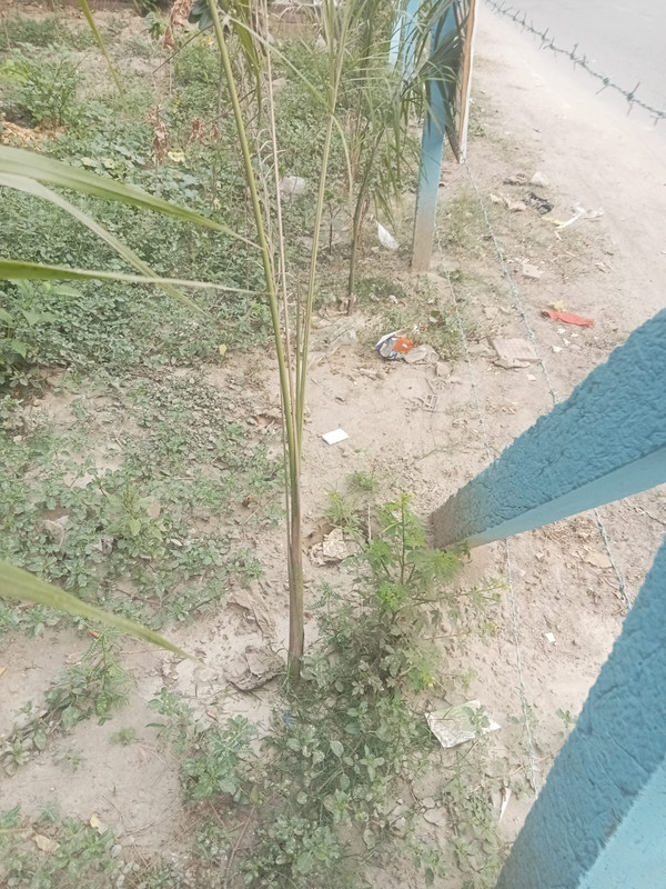 Whats App Image 2025 10 27 at 14 48 09 1