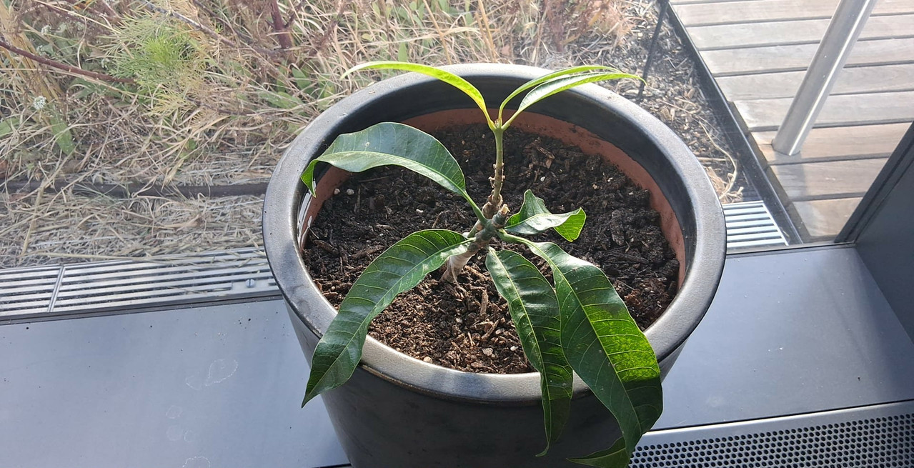 d2d154d5 a355 4fb8 9d3c 19aa8df75b4a