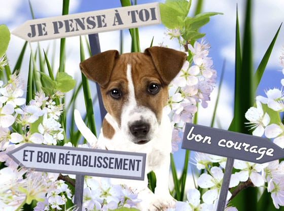 [Image: 813d46ad932874421a2eff488ee3387e-1.jpg]