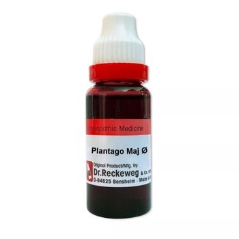 Dr. Reckeweg Plantago Major 1X (Q) (20ml)