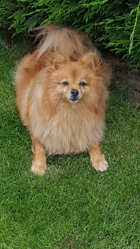 19181927_10154609692273314_357905394_o (1)