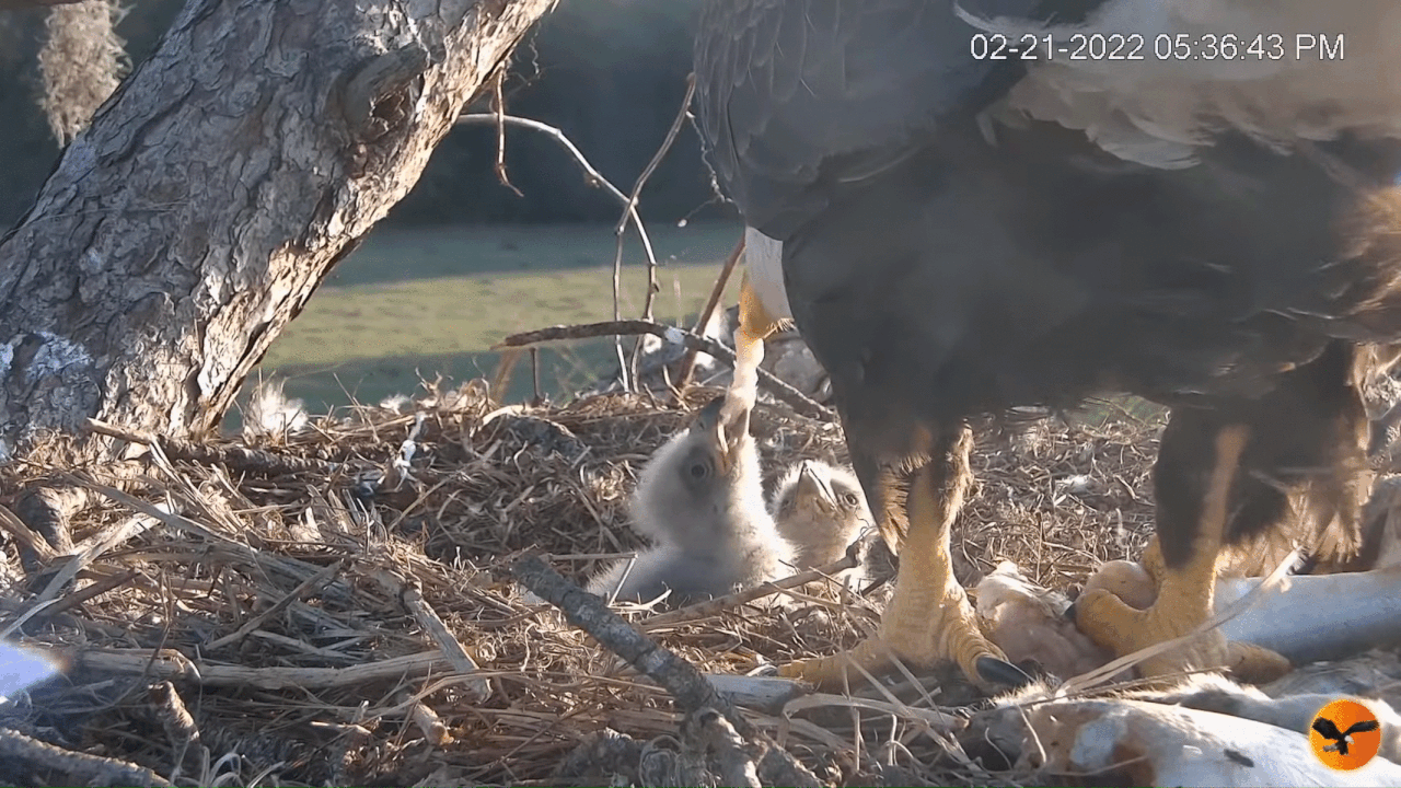 Webp.net-gifmaker (1)