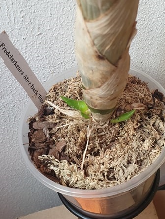 164053336_755732471999776_8187969986003652584_n