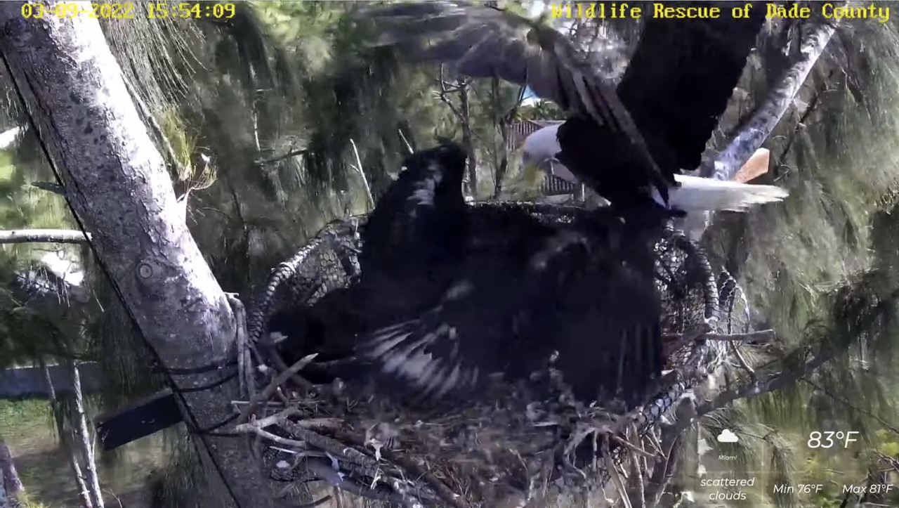 8F07F67A-A656-41D6-99D3-277CB86AF9C9