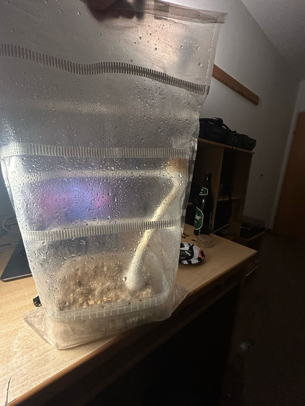 WhatsApp Image 2024-03-07 at 21.45.40