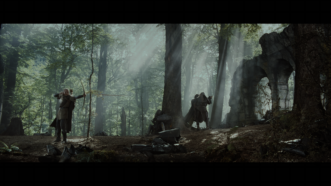 The Lord of the Rings- The Fellowship of the Ring (EXT.).mkv_snapshot_01.21.35_[2020.12.05_22.59.19]