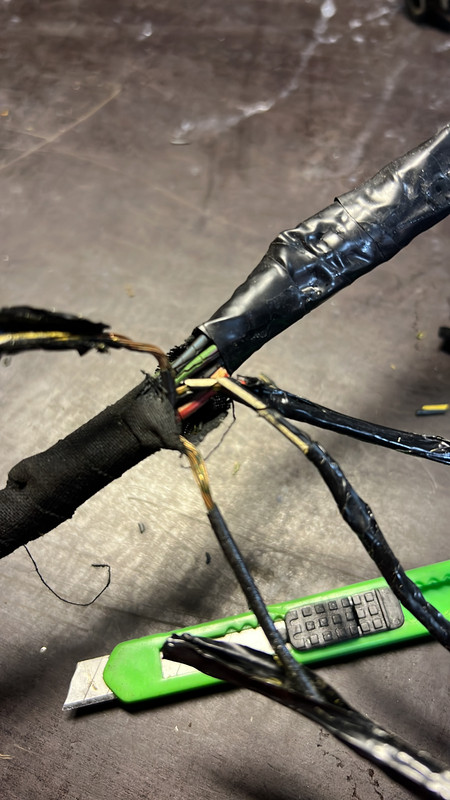 AC228299-F997-41BB-8DD7-9559AAAD27A1