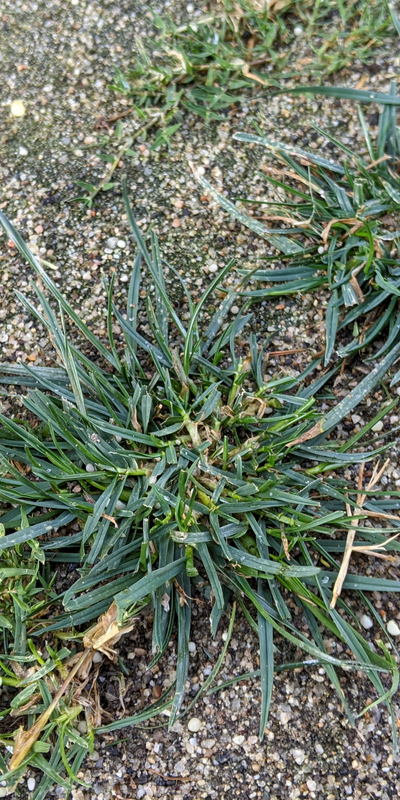 Screenshot_20220610-185000