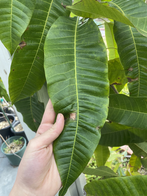 8AA56D00-53B6-4911-B100-96E6BA97AE07