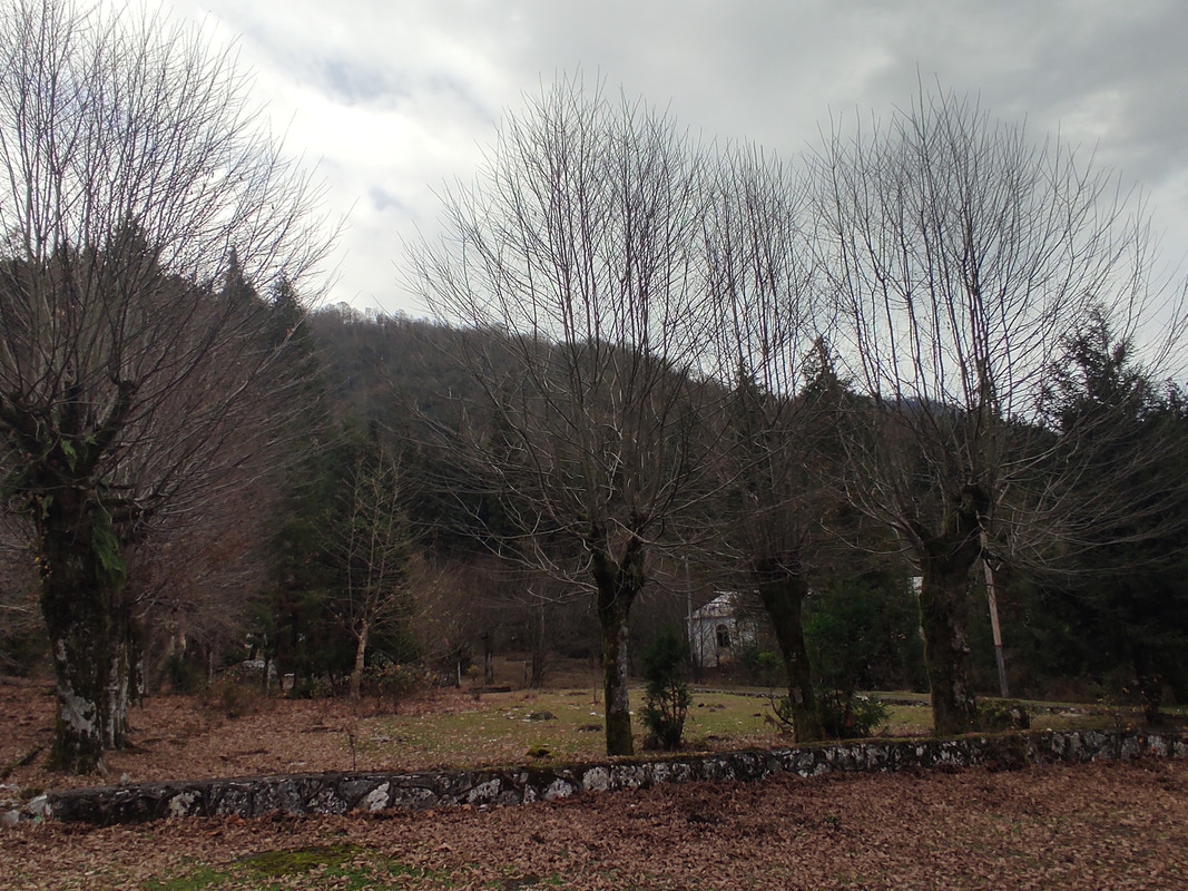 IMG-20211208-140341.jpg