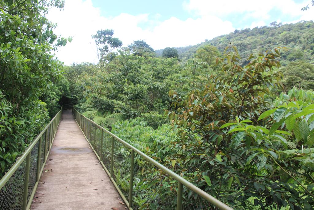 DIA 10: RIO CELESTE - DE TORTUGAS Y PEREZOSOS. COSTA RICA 2019 (4)