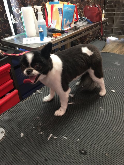 46BF7BE1-970F-4DBA-94AF-56E6065015E1