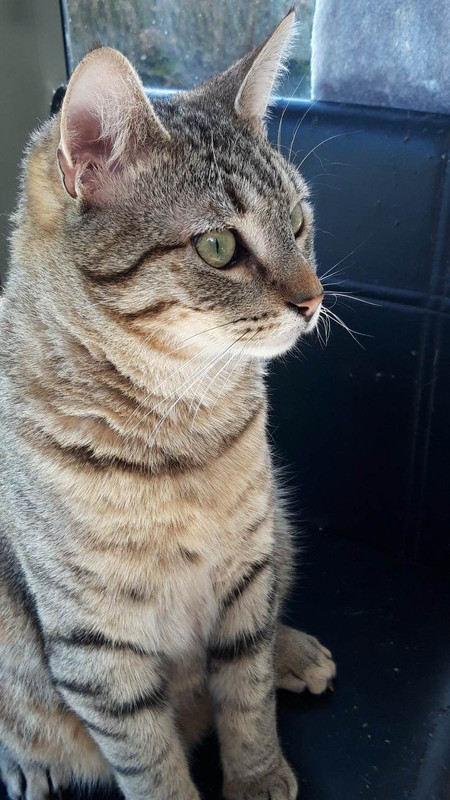 received_757532462250881