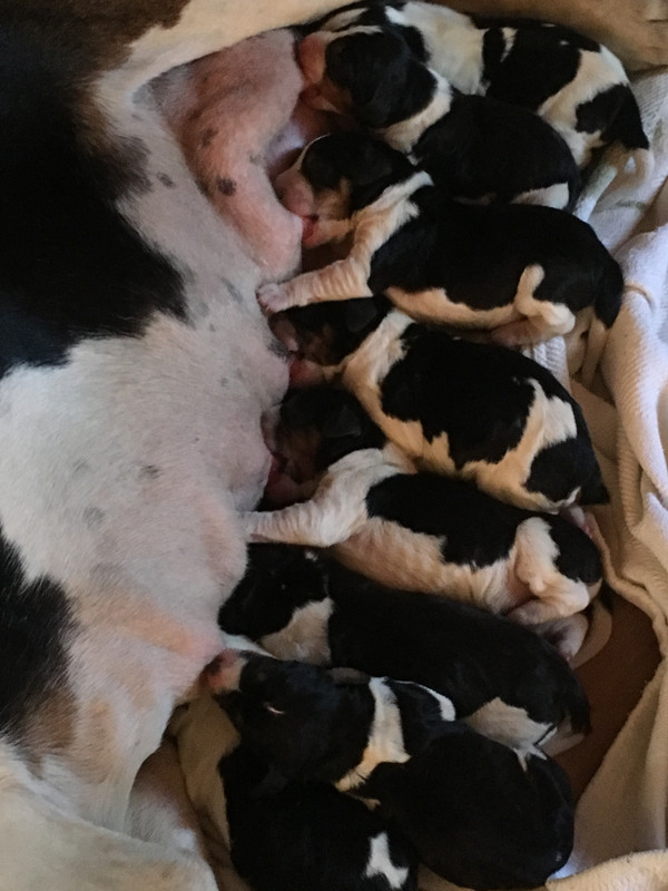 0D2A4B15-3CC8-4669-8CA0-2B21C7A2AC88