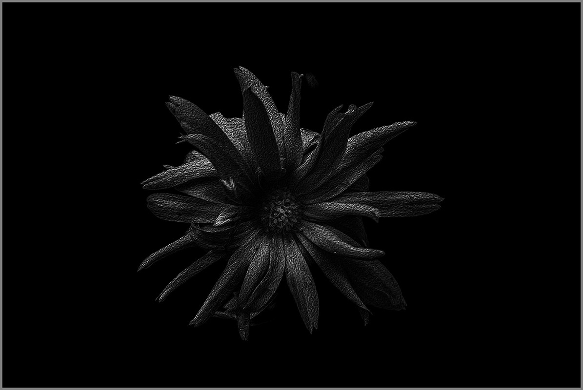 7A4A2828 defi52  cadre 2