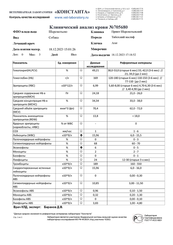 Клинический анализ крови (705680)