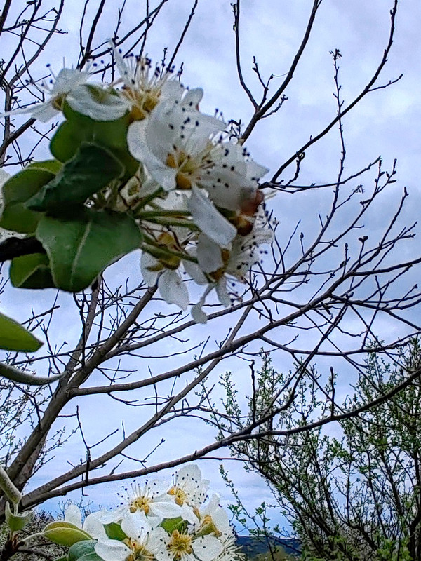 IMG 20260413 191547bbb