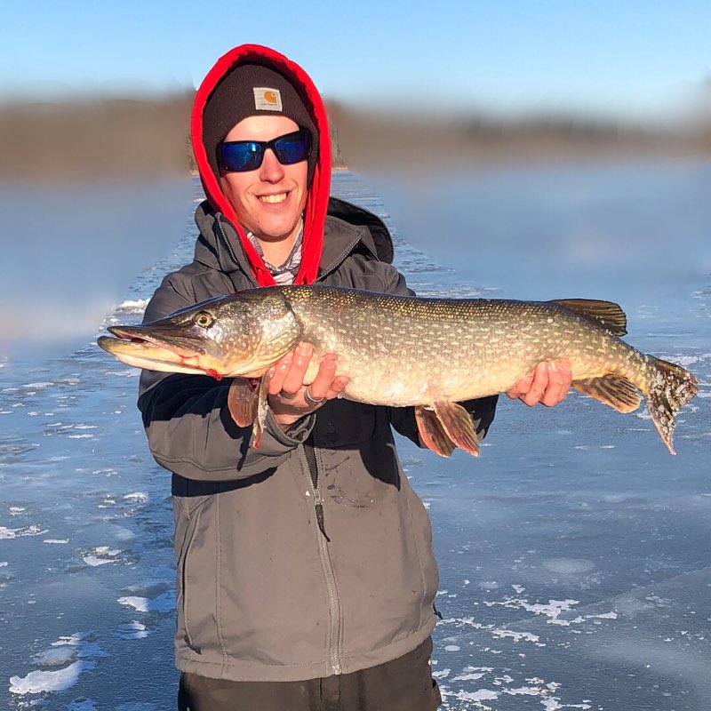 pike4