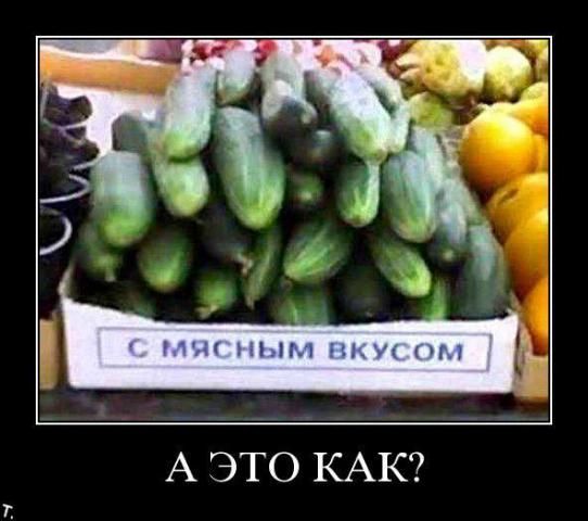 46ccf0eb256c802cc09b370298211750