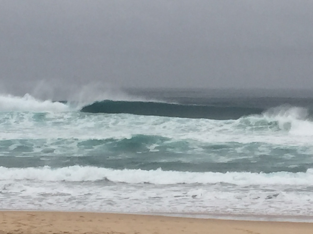 929E8B40-361C-437E-8DF3-8A49858A88F2