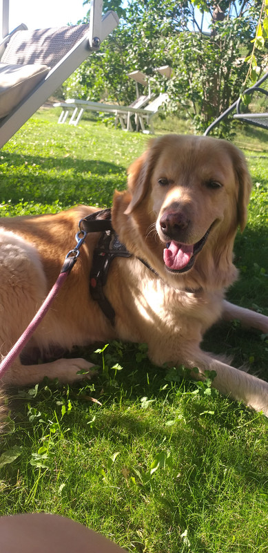 1658075372618346943075956042695