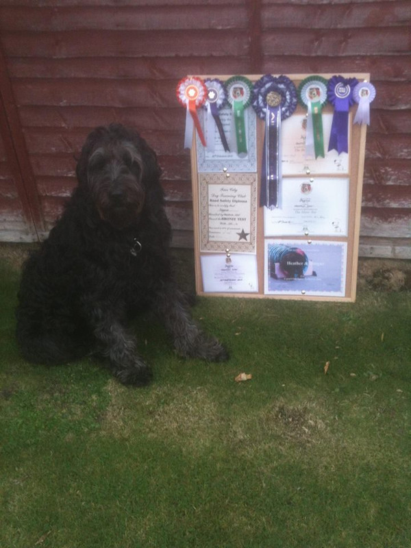 1374376_581841611850990_207731015_n