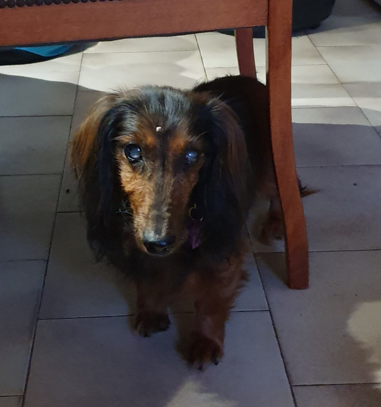 [Image: 20200625-071533.jpg]