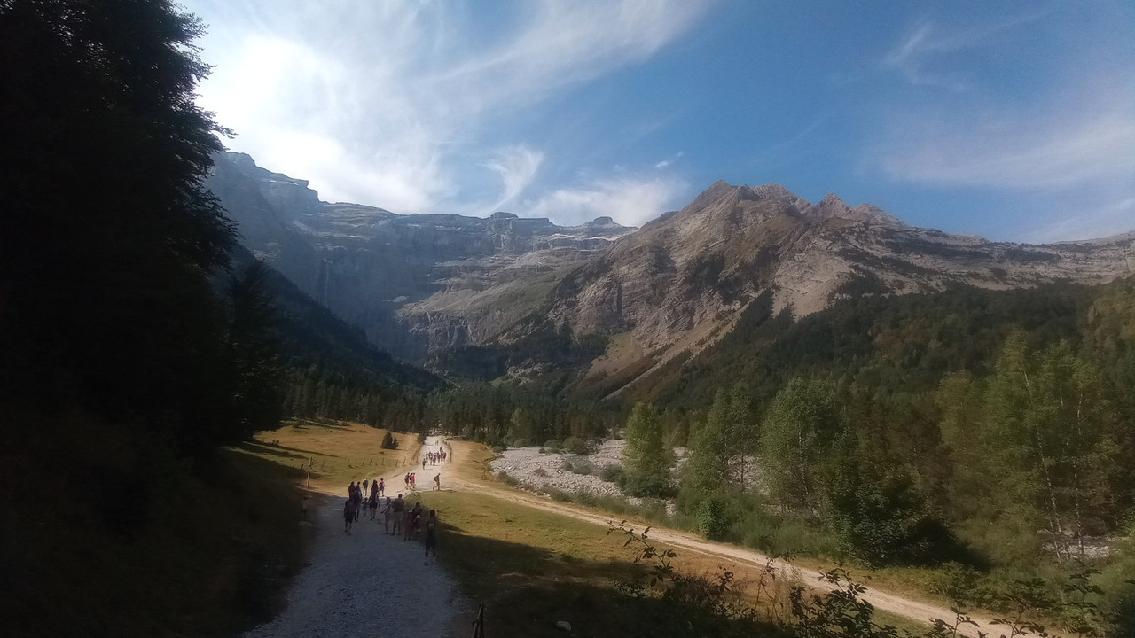 IMG_20250813_111443 (Large)