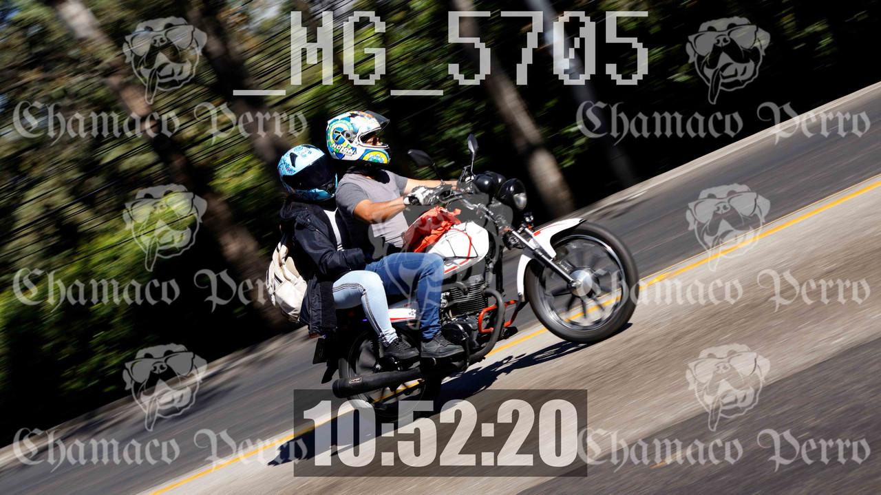 MUESTRA MG 5705 — Postimages