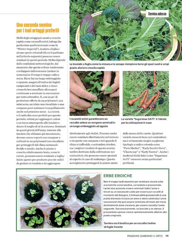 Pass Giar e Orto Lug-Ago-Set 2022 (12)