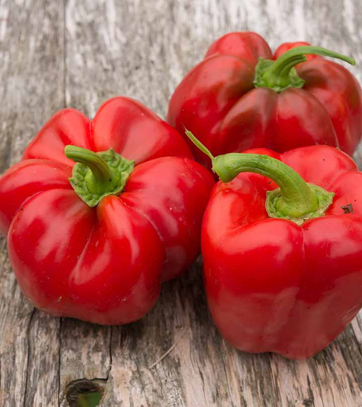 Paprika merah