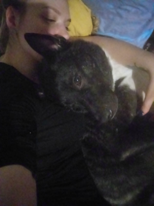 1527A00F-D14D-4978-8615-5F9EC469F8D7