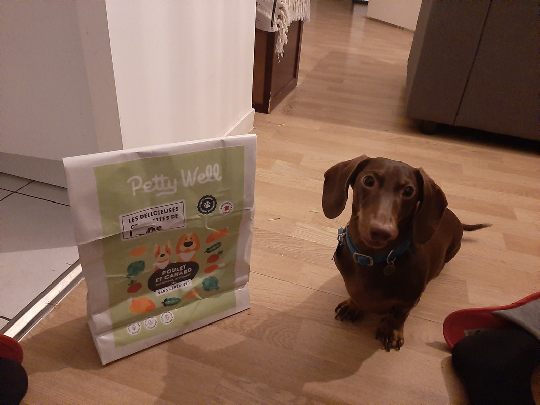 [Image: 20201113-184336.jpg]