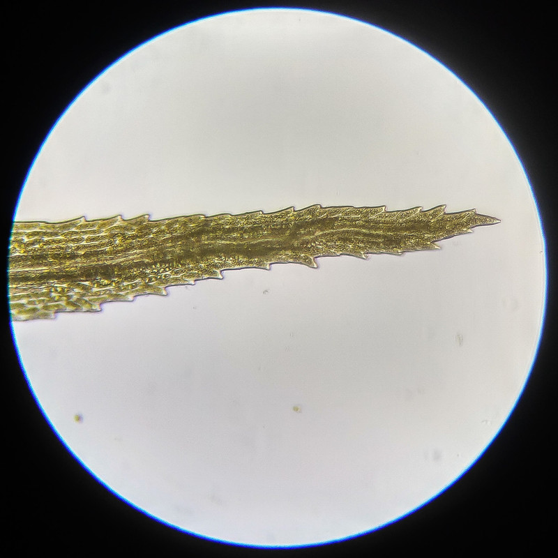 IMG 20250614 111806 HDR