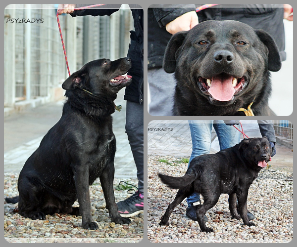 BeFunky-collage (20)