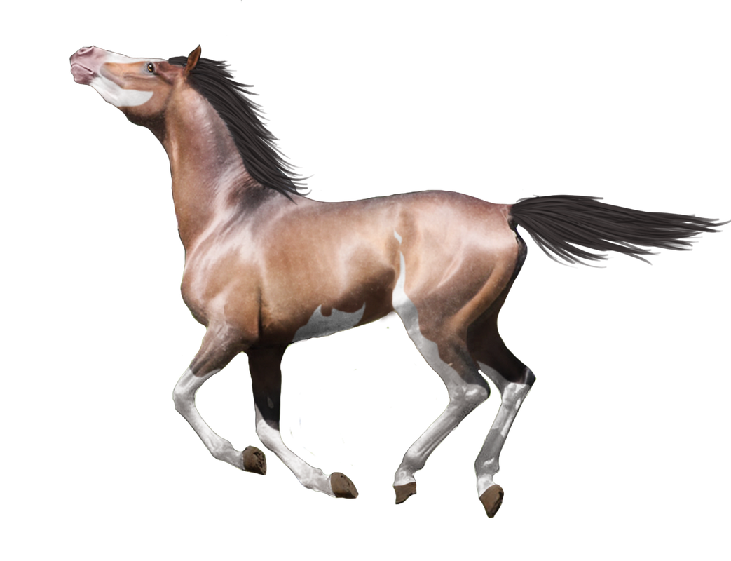 69F4ED7F-CD4C-4CB5-9269-55349B9170C3