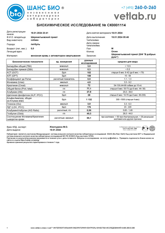 Биохимическоеисследование_Шереметьевский приют_СК0001114