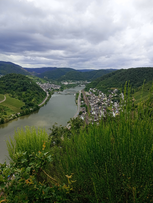 Blick auf die Mosel Blick auf die Mosel
