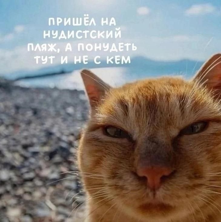[Изображение: photo-2026-05-24-09-42-35.jpg]